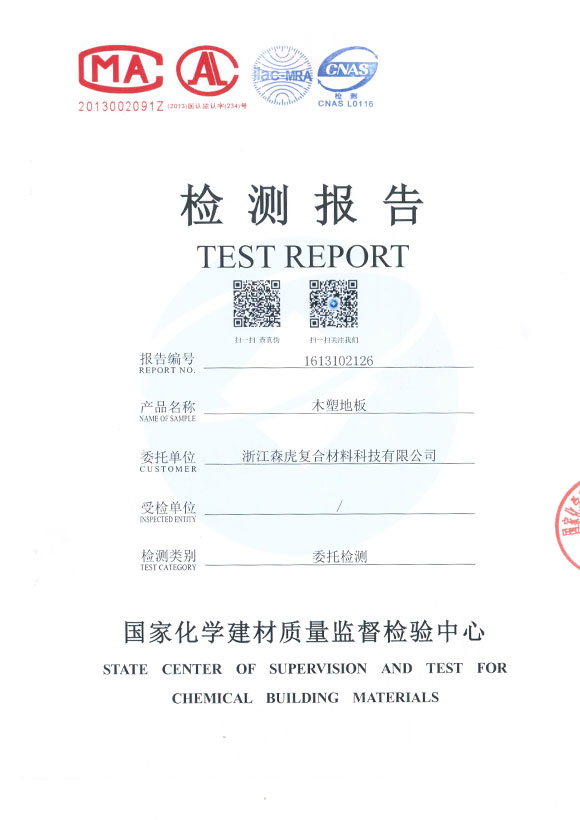 Raport de testare
